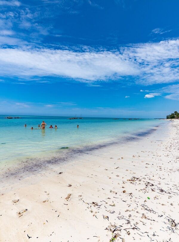 Beach Holidays (Zanzibar)