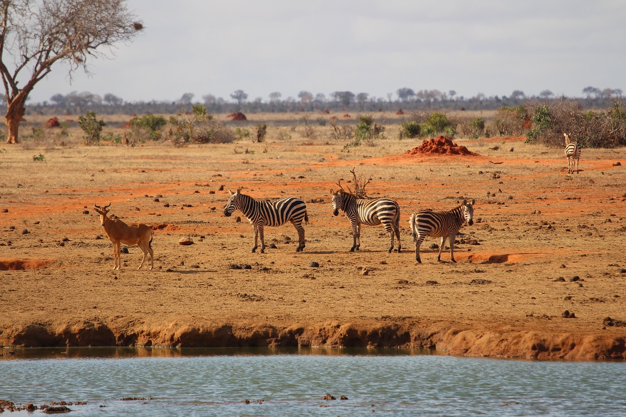 East Africa Combined Safaris